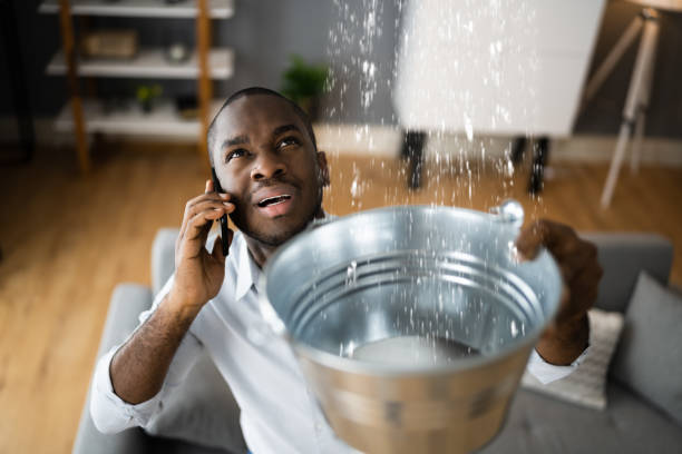 Best Flooded house restoration  in Glendale, MO