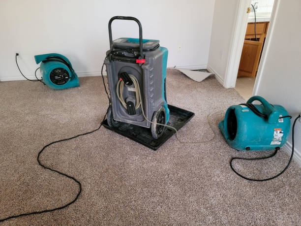 Best Water damage restoration near me  in Glendale, MO