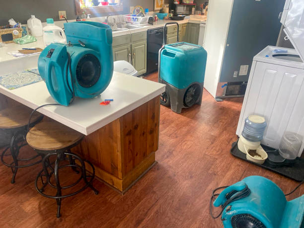 Best Water damage restoration process  in Glendale, MO