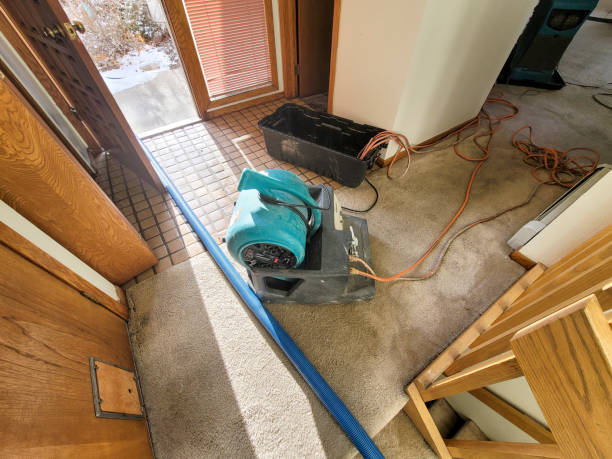 Best Flood damage cleanup  in Glendale, MO