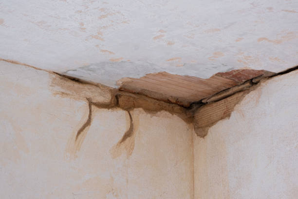 Reliable Glendale, MO Water damage restoration Solutions
