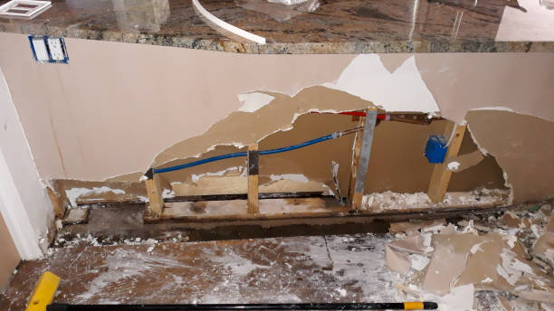 Best Flood damage cleanup  in Glendale, MO