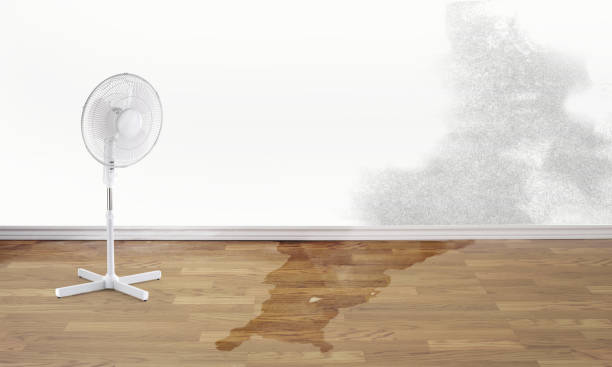 Best Residential water damage restoration  in Glendale, MO
