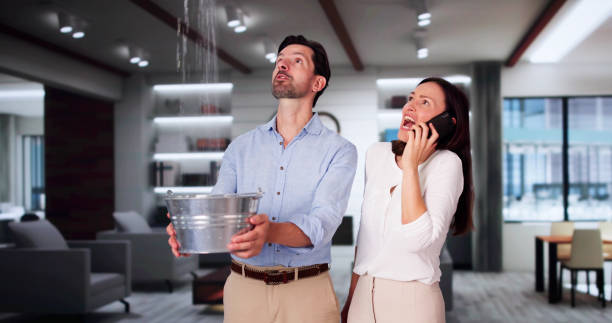 Best Flooded house restoration  in Glendale, MO