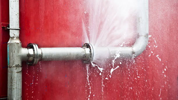 Best Carpet water damage restoration  in Glendale, MO